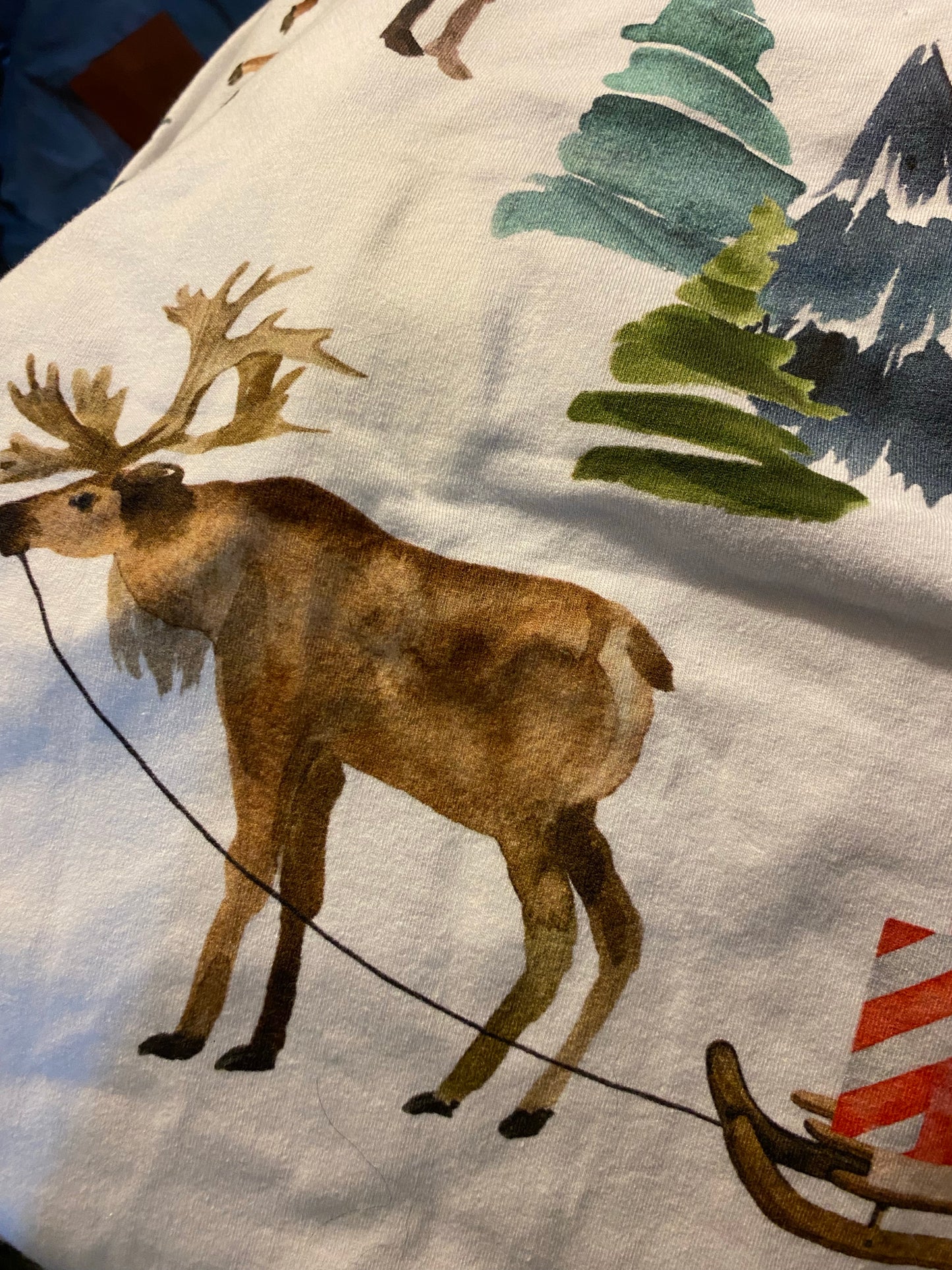Holiday Moose Raglan 5