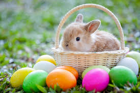 Easter Surprise