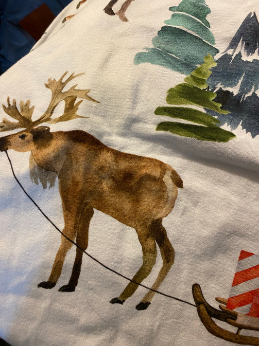 Holiday Moose Raglan 5