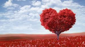 Valentine's Surprise